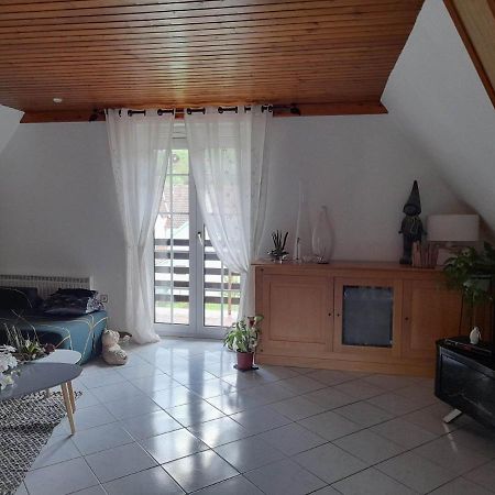 Gite Le Jardin De Hermolsheim. Alsace Tres Spacieux Mutzig Exterior foto