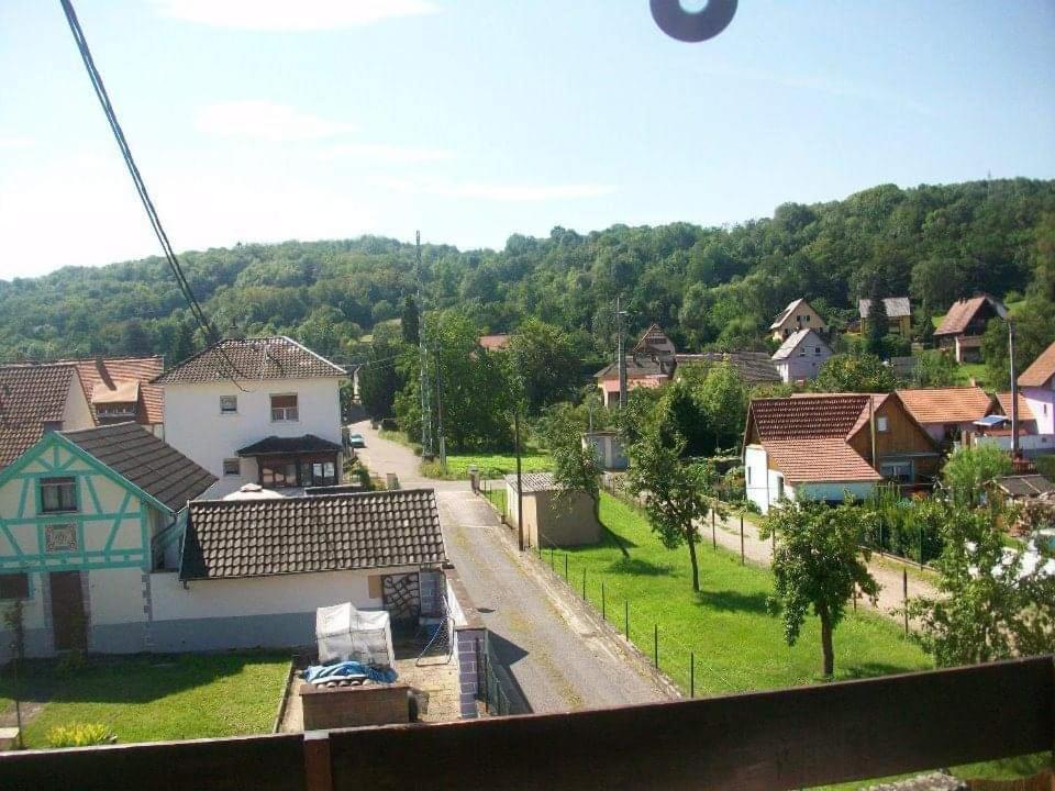 Gite Le Jardin De Hermolsheim. Alsace Tres Spacieux Mutzig Exterior foto