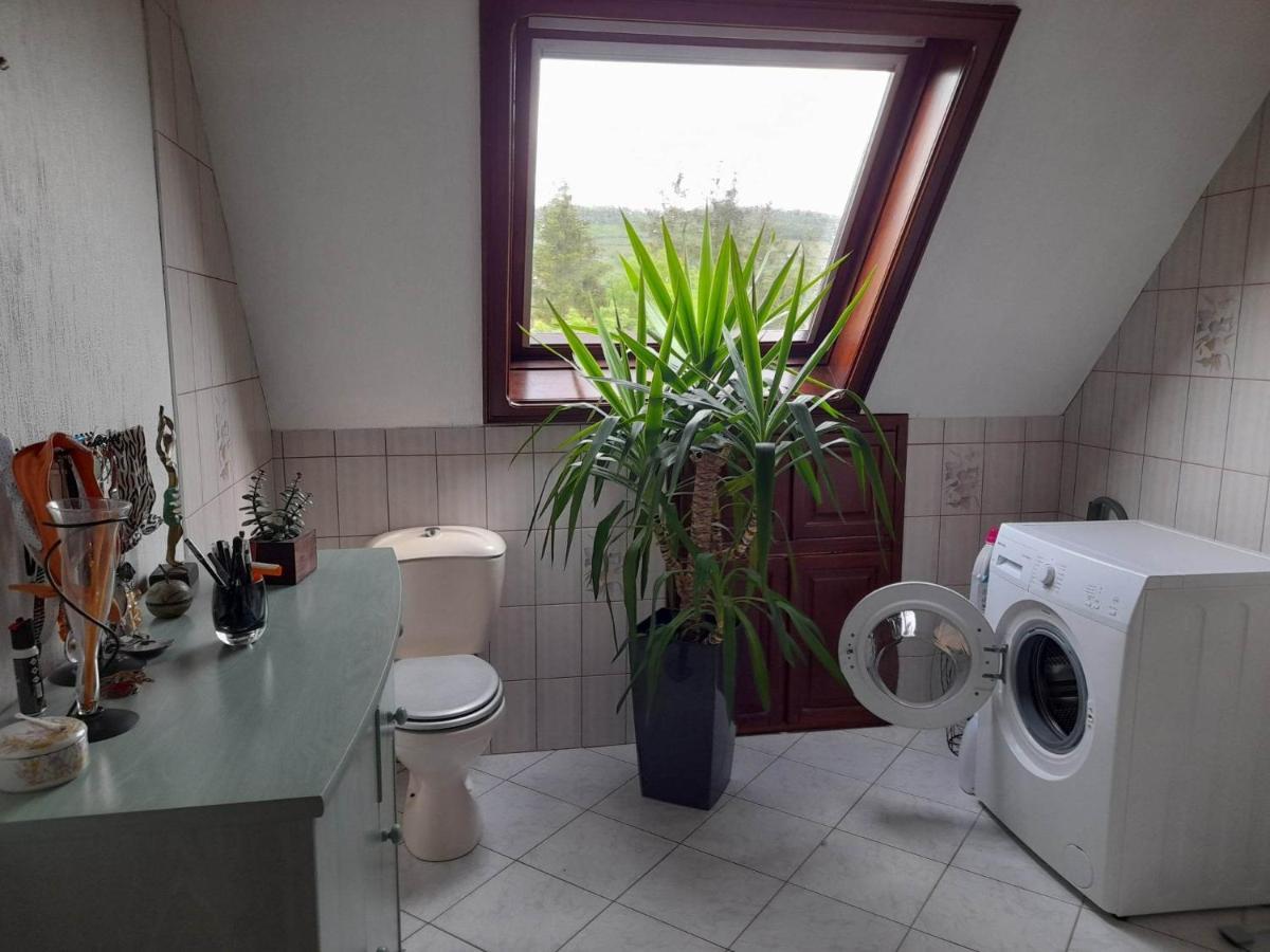 Gite Le Jardin De Hermolsheim. Alsace Tres Spacieux Mutzig Exterior foto
